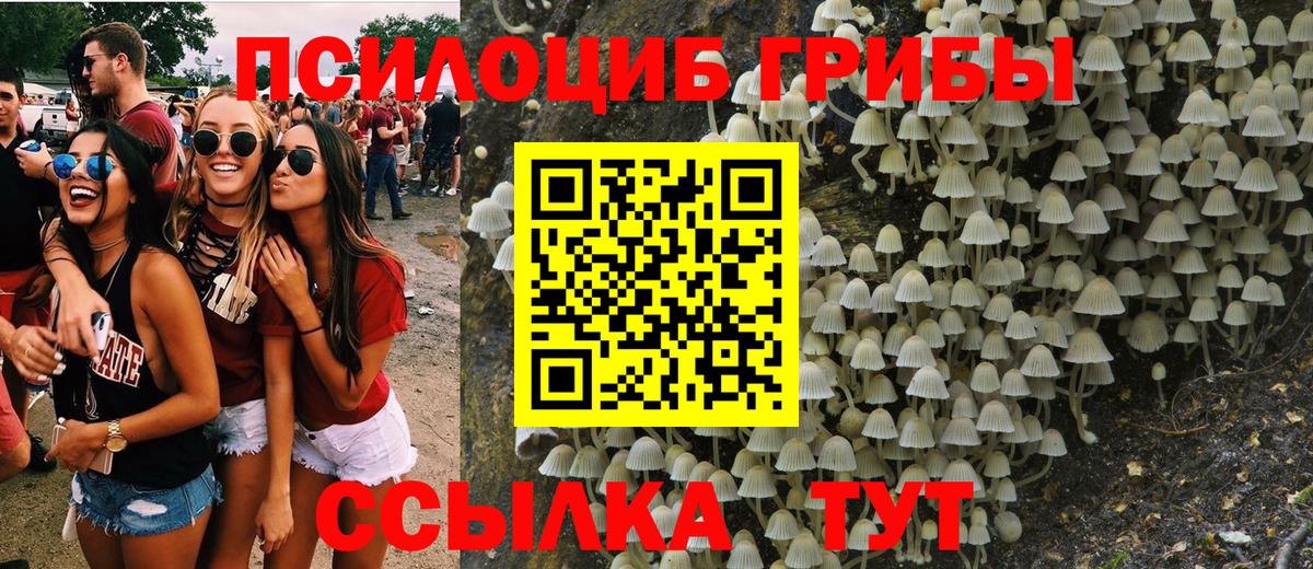 Галлюциногенные грибы ЛСД  Вход с VPN  Псилоцибиновые грибы Cubensis  Надым 